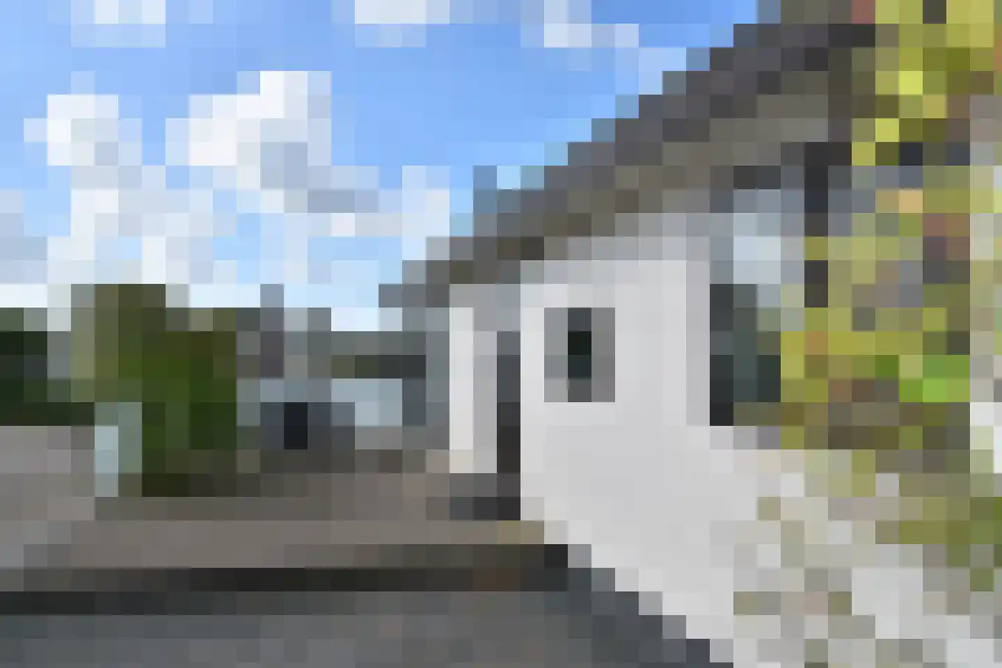 Driehuizerweg 8 313 Egmond aan den Hoef thumbnail 8