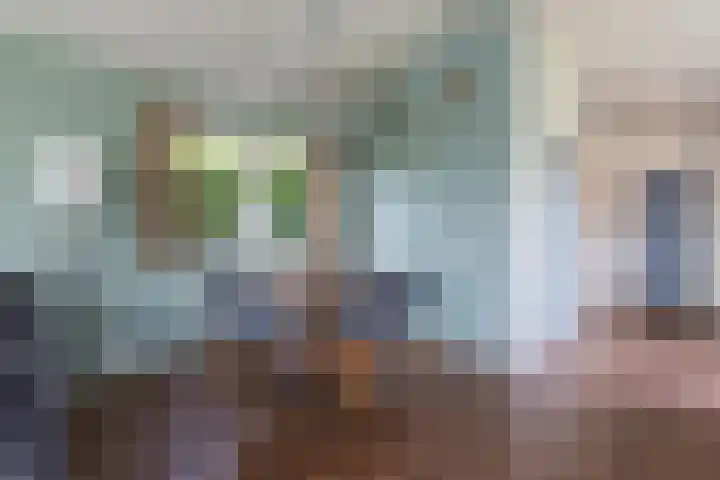 Driehuizerweg 8 Egmond aan den Hoef thumbnail 12