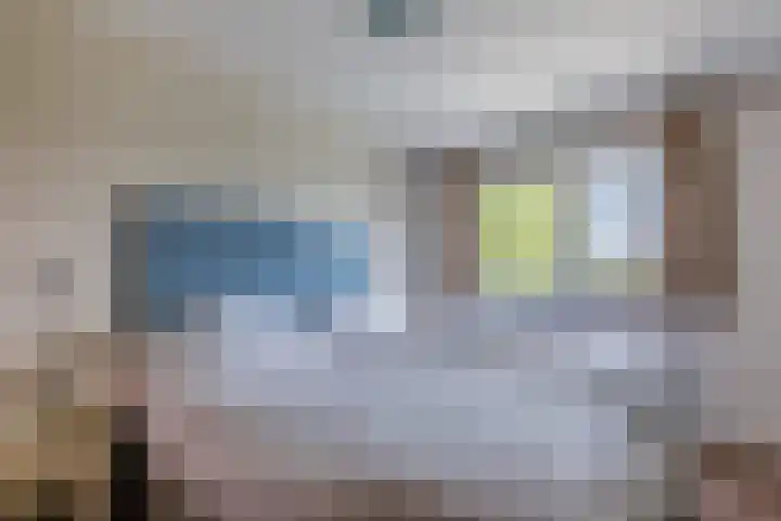 Driehuizerweg 8 Egmond aan den Hoef thumbnail 17