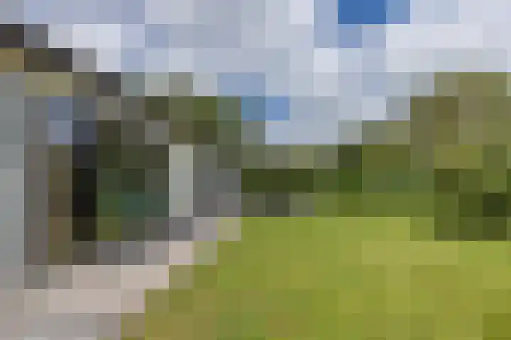 Driehuizerweg 8 Egmond aan den Hoef thumbnail 25
