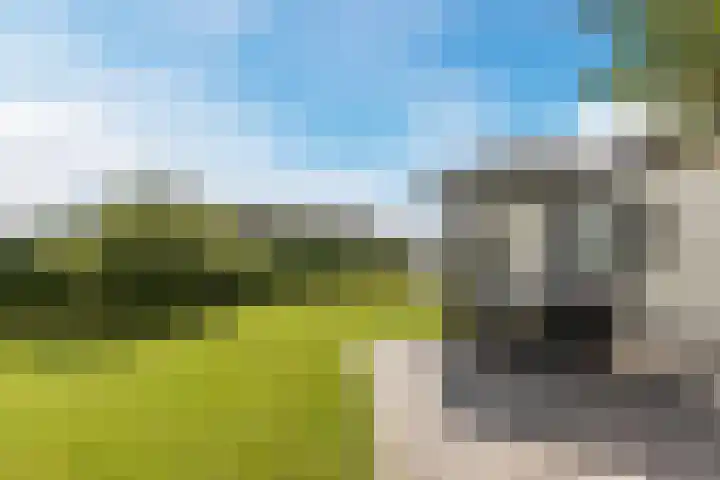 Driehuizerweg 8 Egmond aan den Hoef thumbnail 26