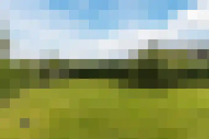 Driehuizerweg 8 Egmond aan den Hoef thumbnail 28