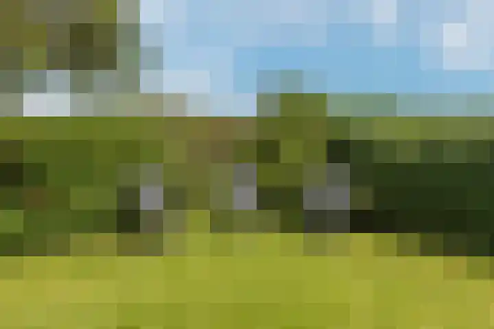Driehuizerweg 8 Egmond aan den Hoef thumbnail 29