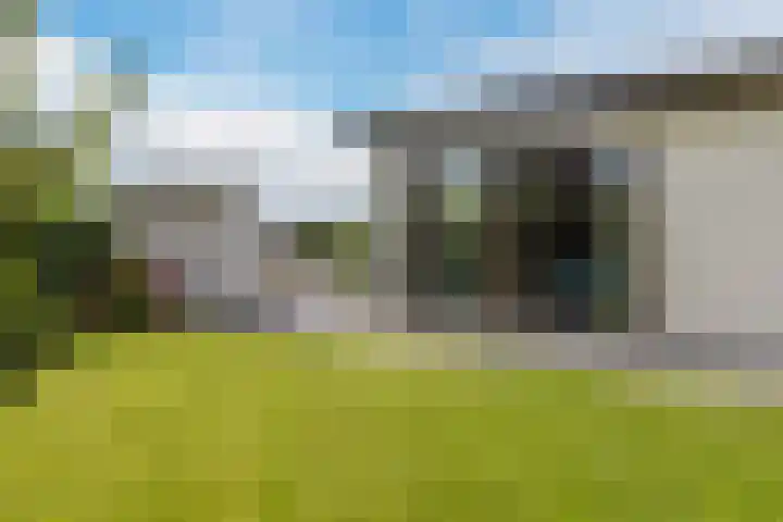 Driehuizerweg 8 Egmond aan den Hoef thumbnail 30