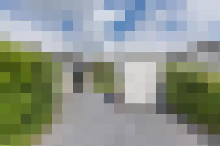 Driehuizerweg 8 Egmond aan den Hoef thumbnail 31