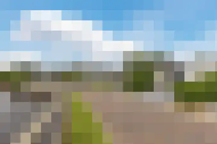 Driehuizerweg 8 Egmond aan den Hoef thumbnail 33