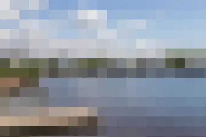 Driehuizerweg 8 Egmond aan den Hoef thumbnail 38