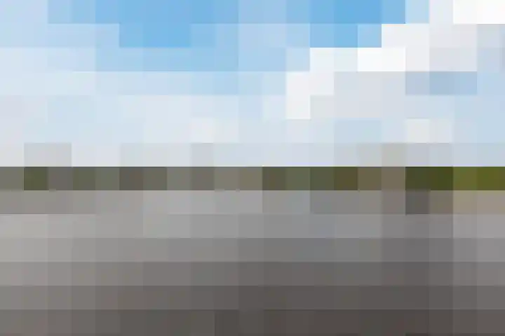 Driehuizerweg 8 Egmond aan den Hoef thumbnail 39
