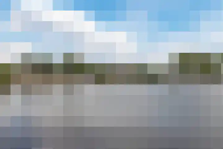 Driehuizerweg 8 Egmond aan den Hoef thumbnail 40