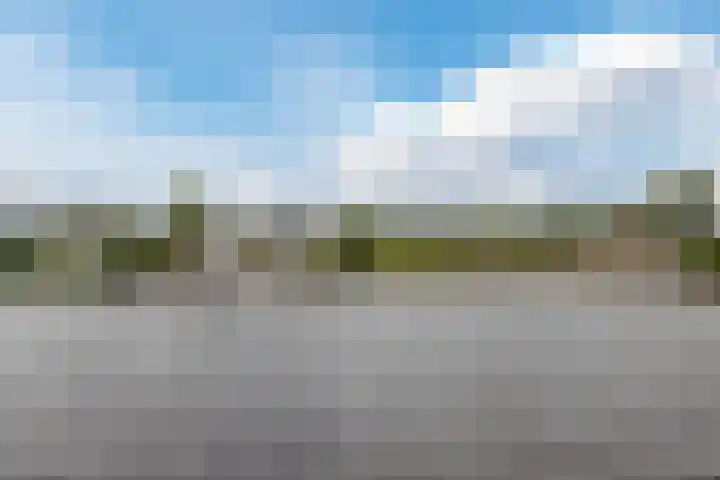 Driehuizerweg 8 Egmond aan den Hoef thumbnail 41