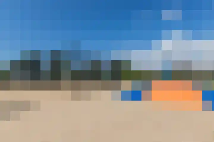 Driehuizerweg 8 Egmond aan den Hoef thumbnail 43