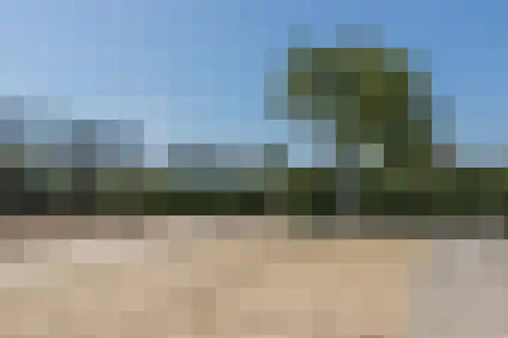Driehuizerweg 8 Egmond aan den Hoef thumbnail 45
