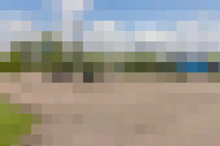 Driehuizerweg 8 Egmond aan den Hoef thumbnail 46