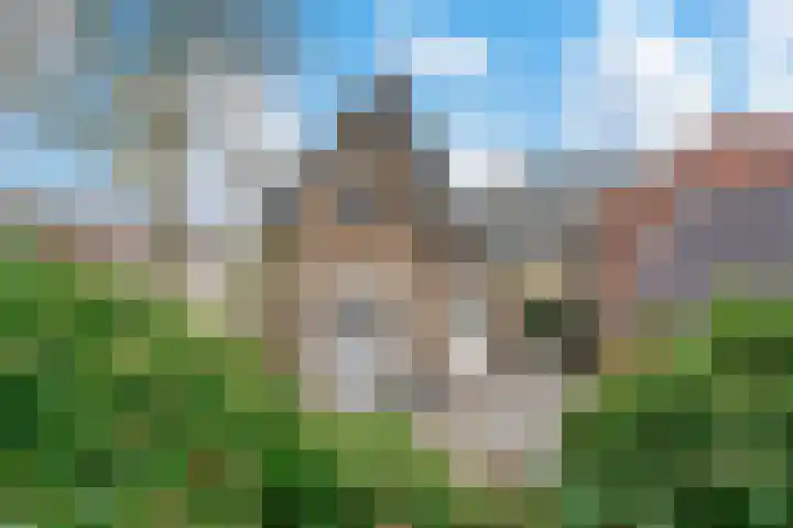 Driehuizerweg 85 Apeldoorn thumbnail 31