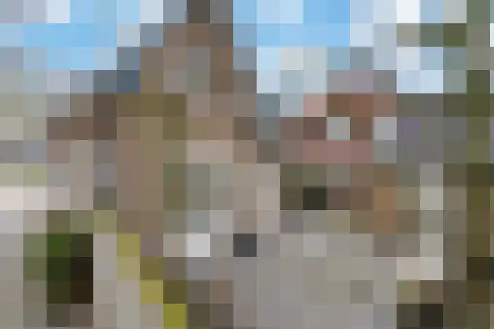 Driehuizerweg 85 Apeldoorn thumbnail 32
