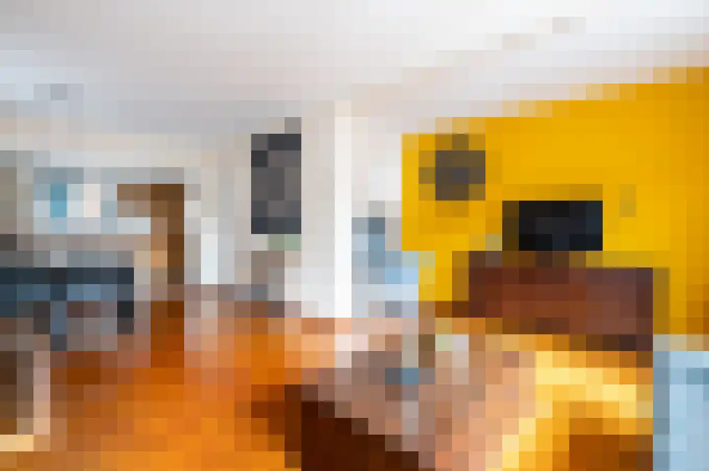 Driehuizerweg 92 Apeldoorn thumbnail 5