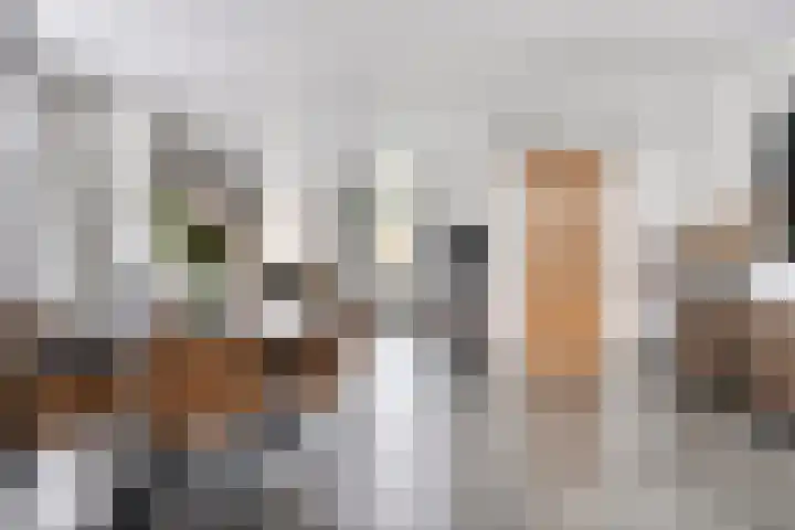 Driek van Erpstraat 22 Oss thumbnail 10