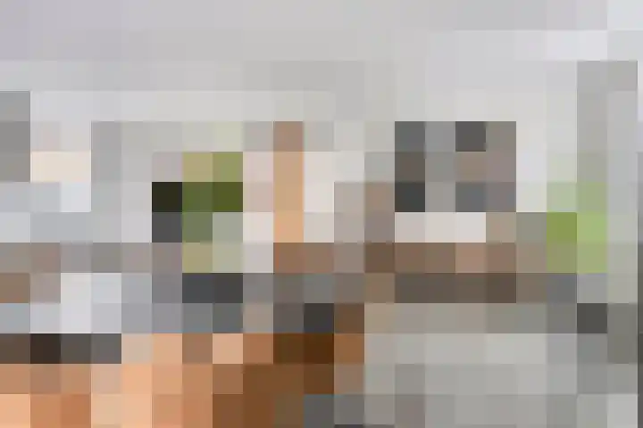 Driek van Erpstraat 22 Oss thumbnail 12
