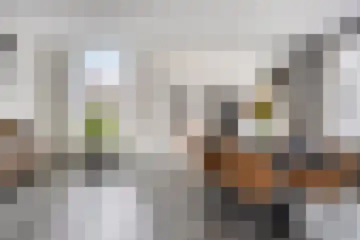 Driek van Erpstraat 22 Oss thumbnail 13