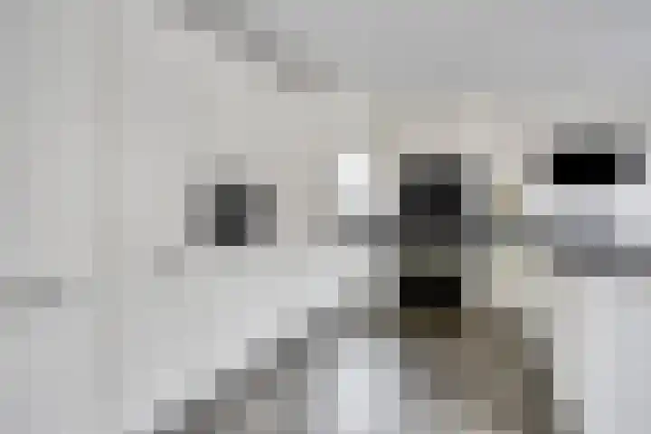 Driek van Erpstraat 22 Oss thumbnail 16
