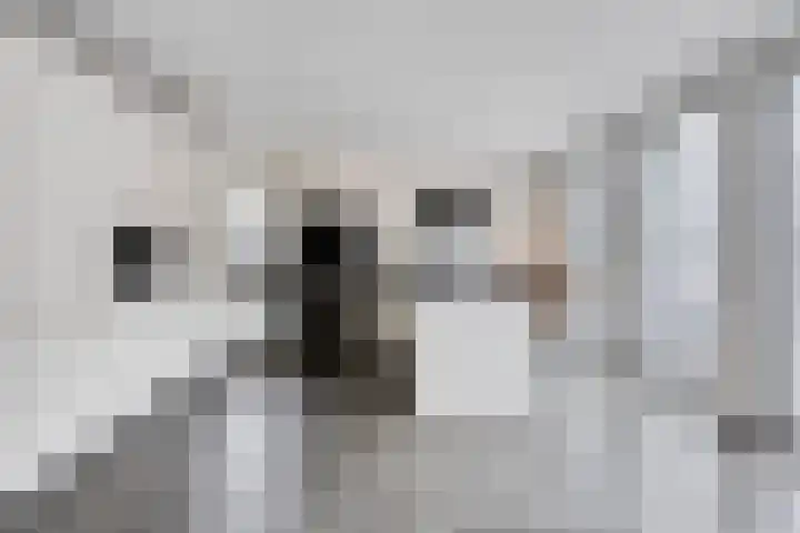 Driek van Erpstraat 22 Oss thumbnail 17