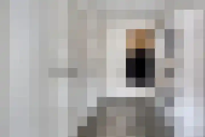 Driek van Erpstraat 22 Oss thumbnail 18
