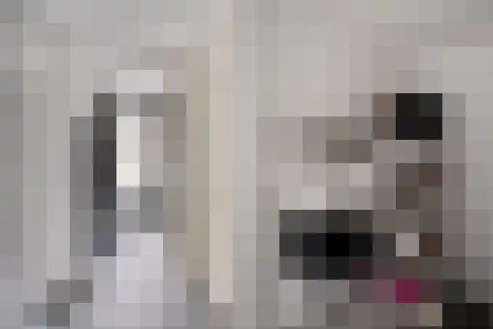 Driek van Erpstraat 22 Oss thumbnail 21