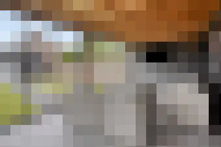 Driek van Erpstraat 22 Oss thumbnail 31