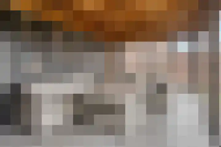 Driek van Erpstraat 22 Oss thumbnail 32