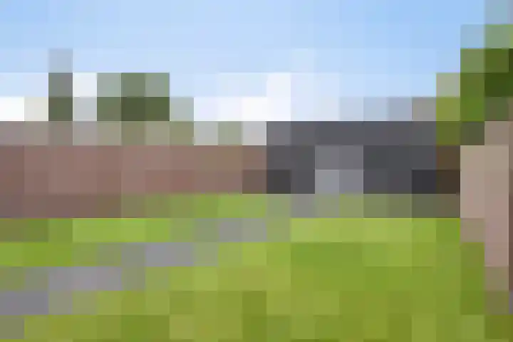 Driek van Erpstraat 22 Oss thumbnail 34