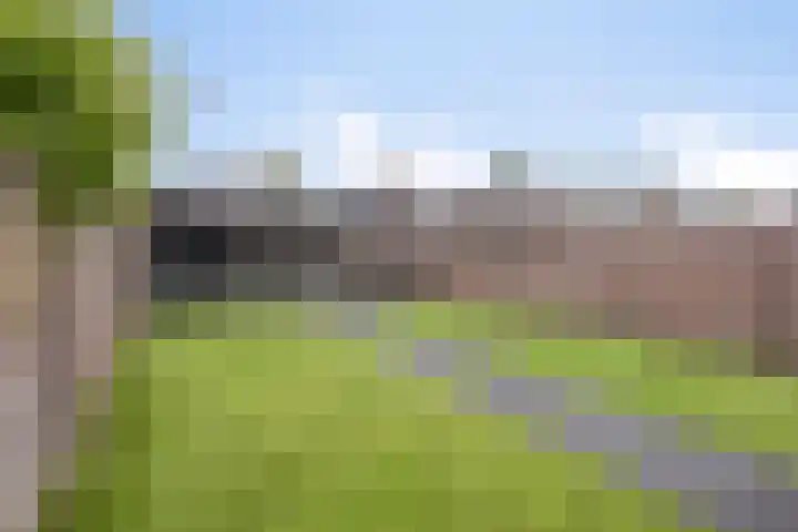 Driek van Erpstraat 22 Oss thumbnail 38