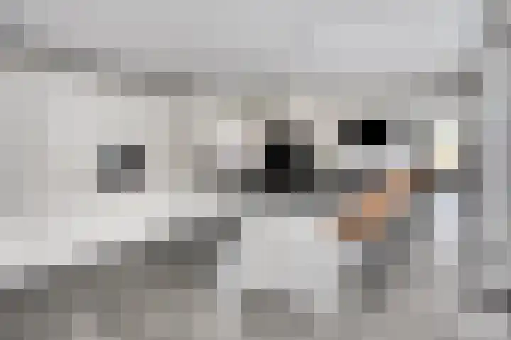 Driek van Erpstraat 22 Oss thumbnail 4