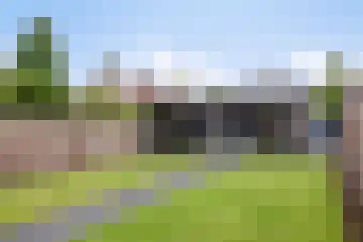Driek van Erpstraat 22 Oss thumbnail 5