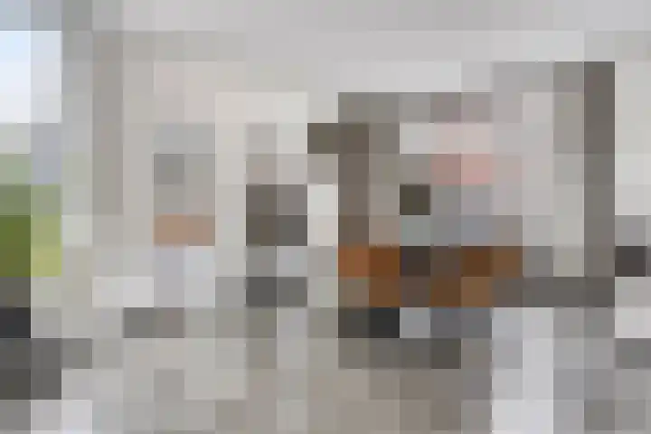 Driek van Erpstraat 22 Oss thumbnail 8