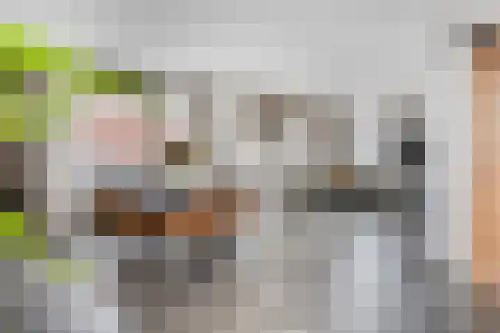 Driek van Erpstraat 22 Oss thumbnail 9
