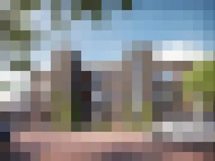 Driek van Erpstraat 43 B Oss thumbnail 5