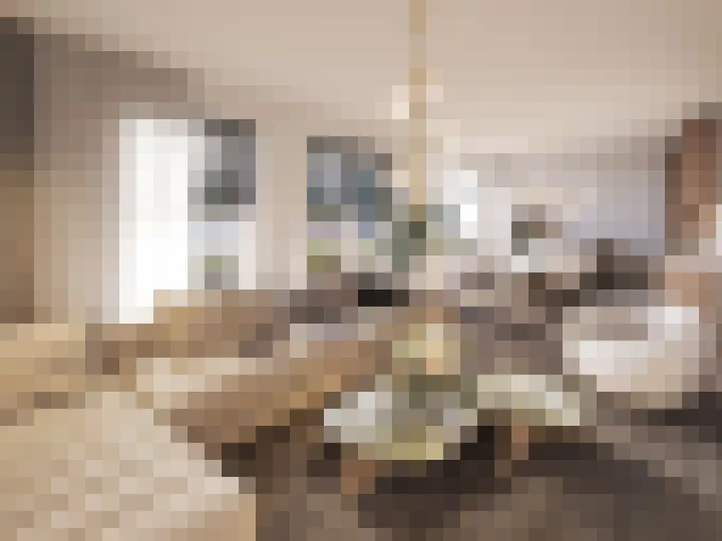 Driek van Erpstraat 43 G Oss thumbnail 5