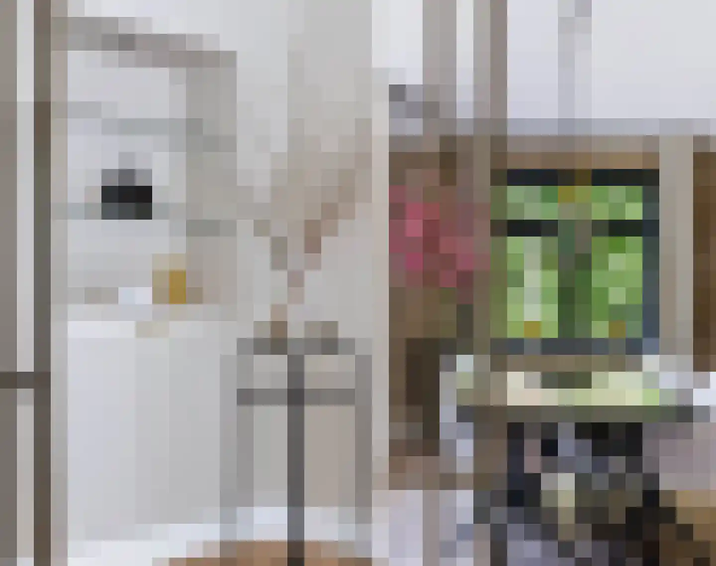 Driekieftenweg 5 Epse thumbnail 10