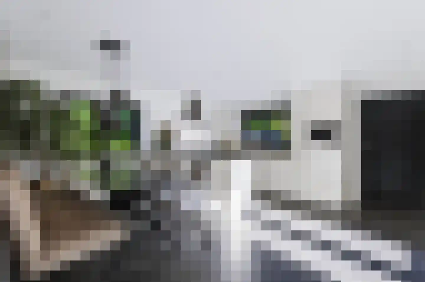 Driekieftenweg 5 Epse thumbnail 11