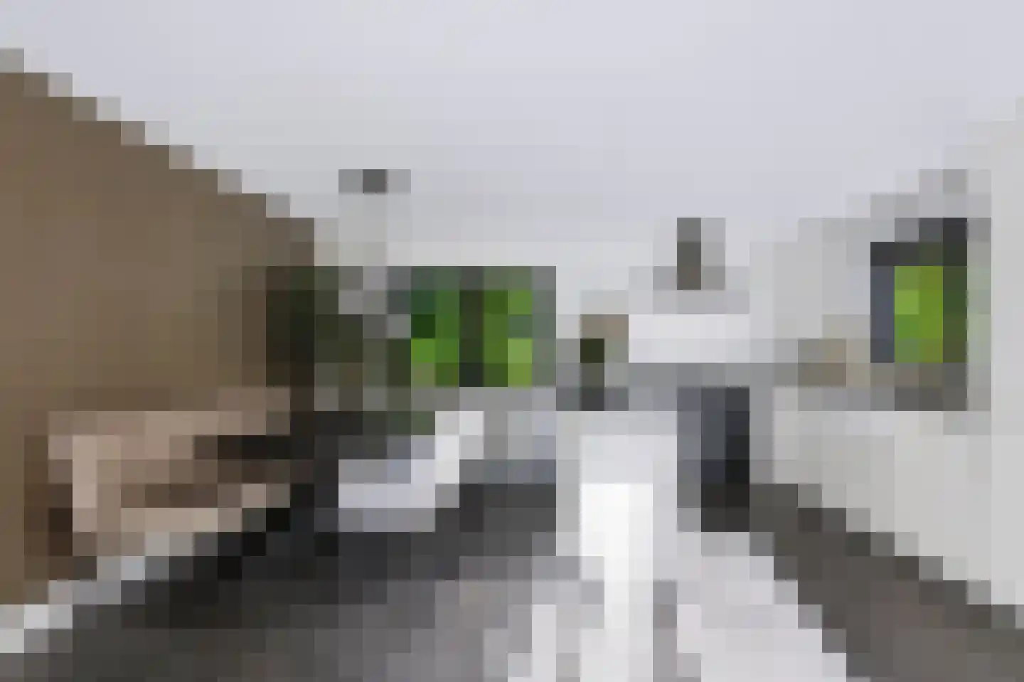 Driekieftenweg 5 Epse thumbnail 12