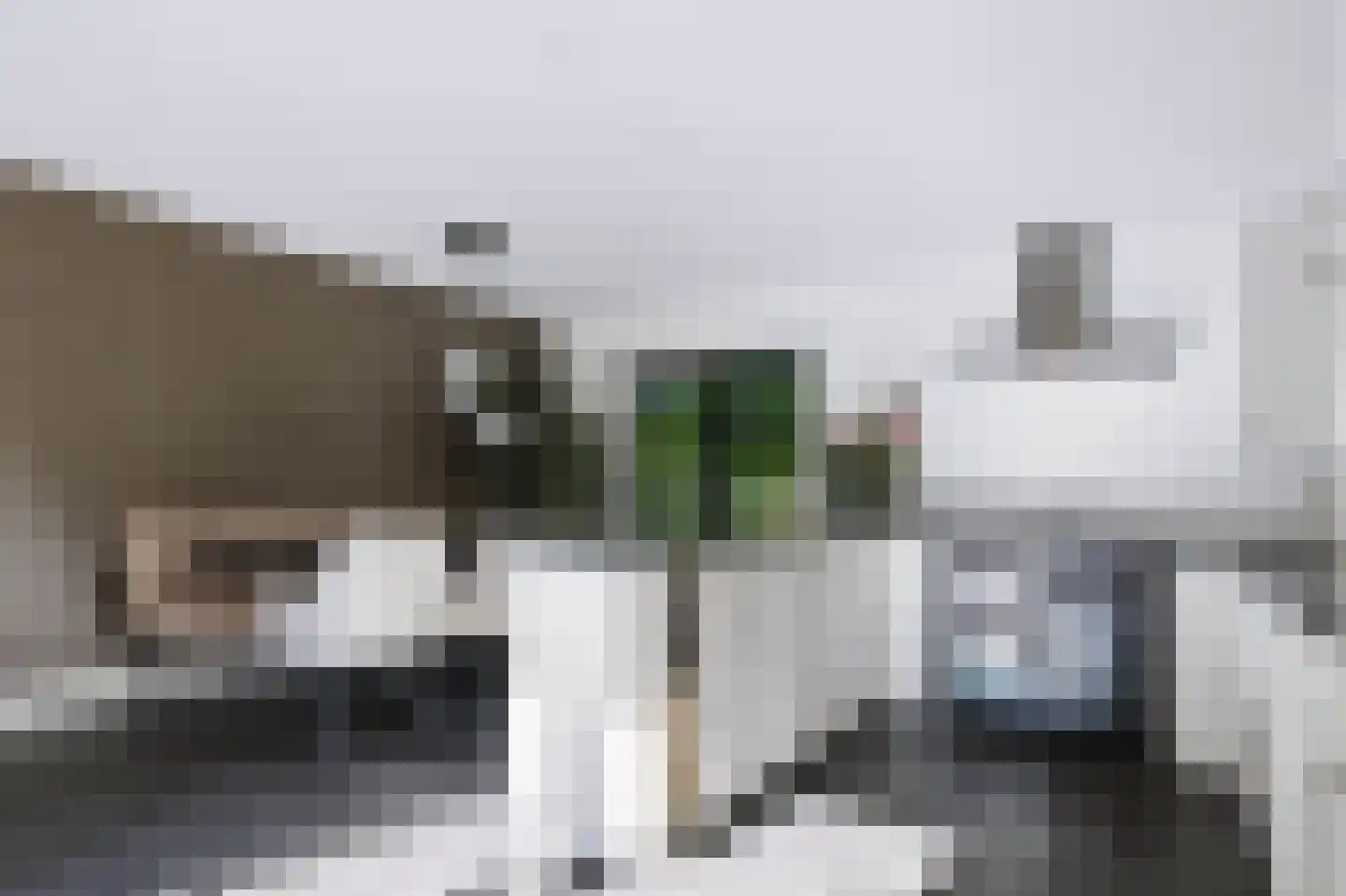 Driekieftenweg 5 Epse thumbnail 13