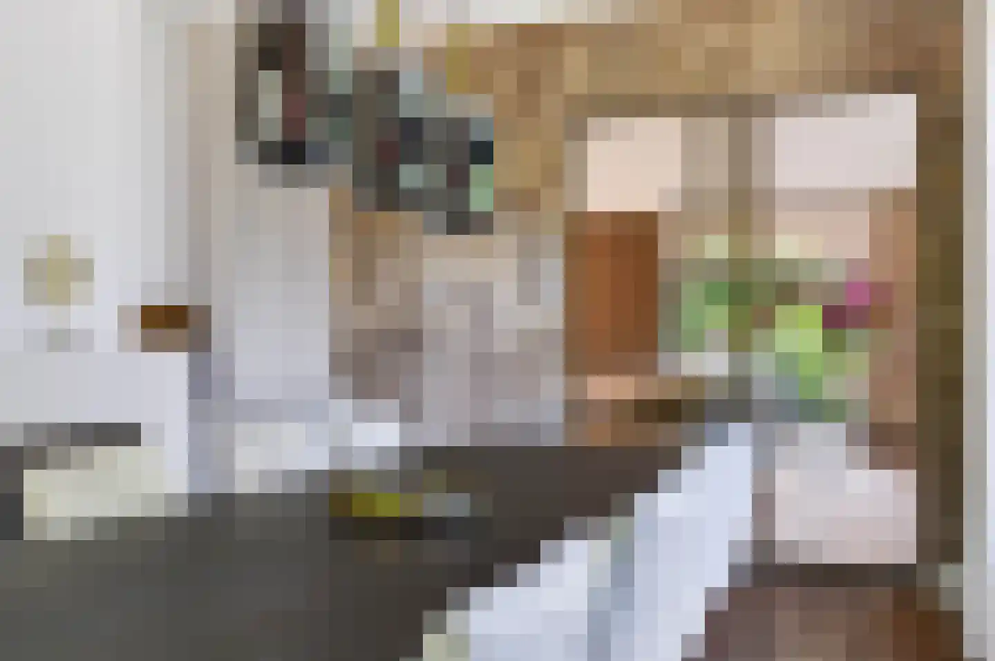 Driekieftenweg 5 Epse thumbnail 16