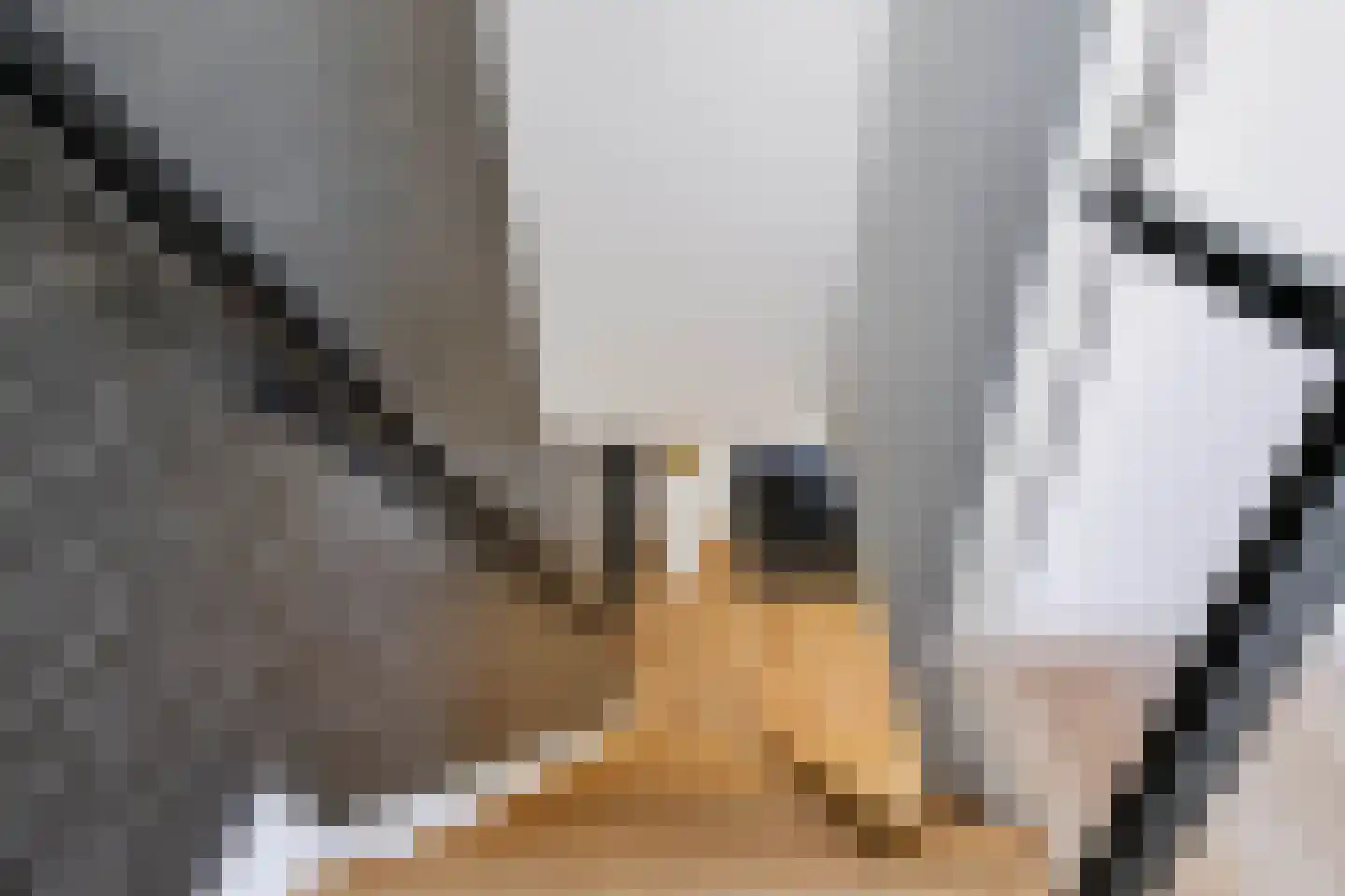 Driekieftenweg 5 Epse thumbnail 24