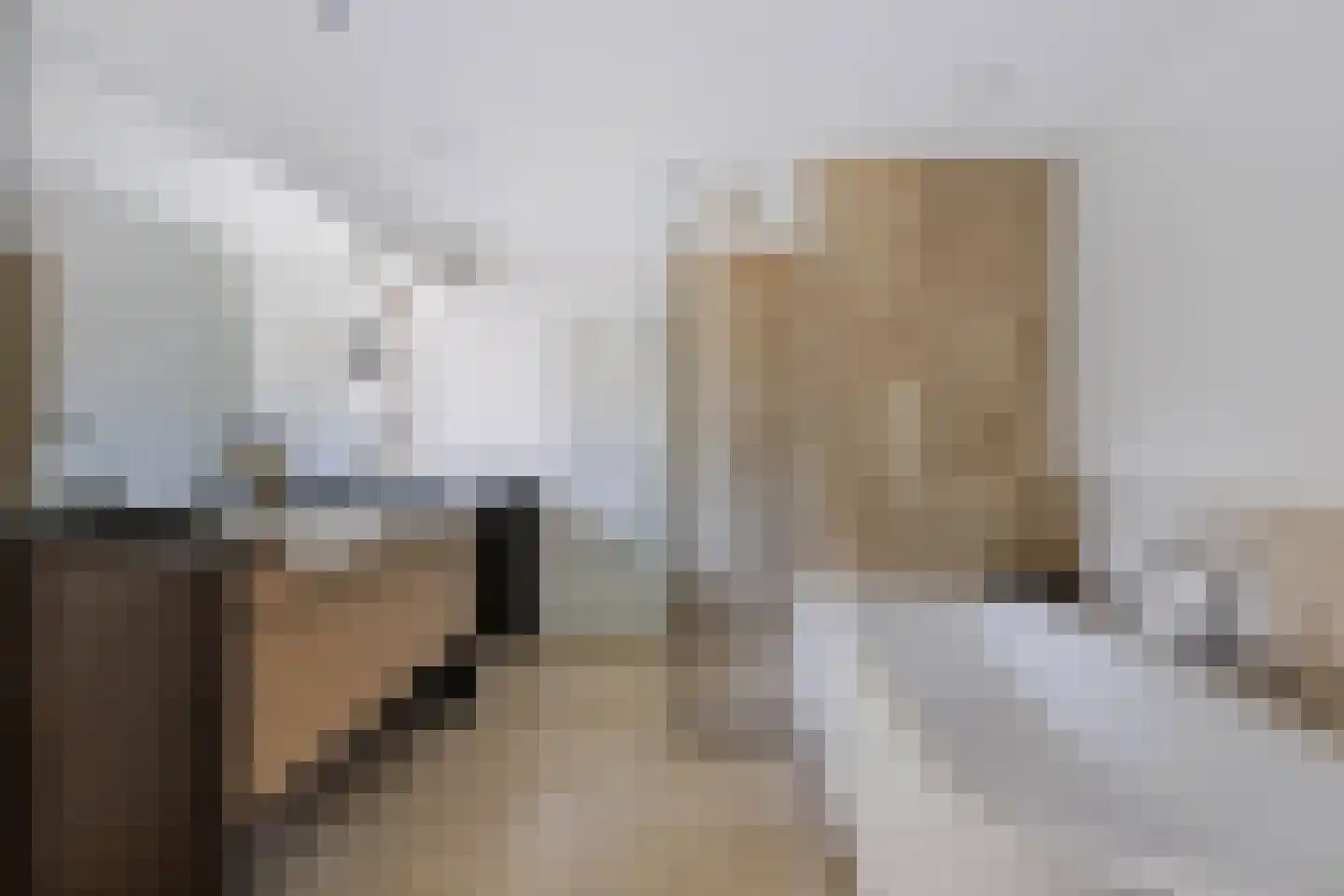 Driekieftenweg 5 Epse thumbnail 30