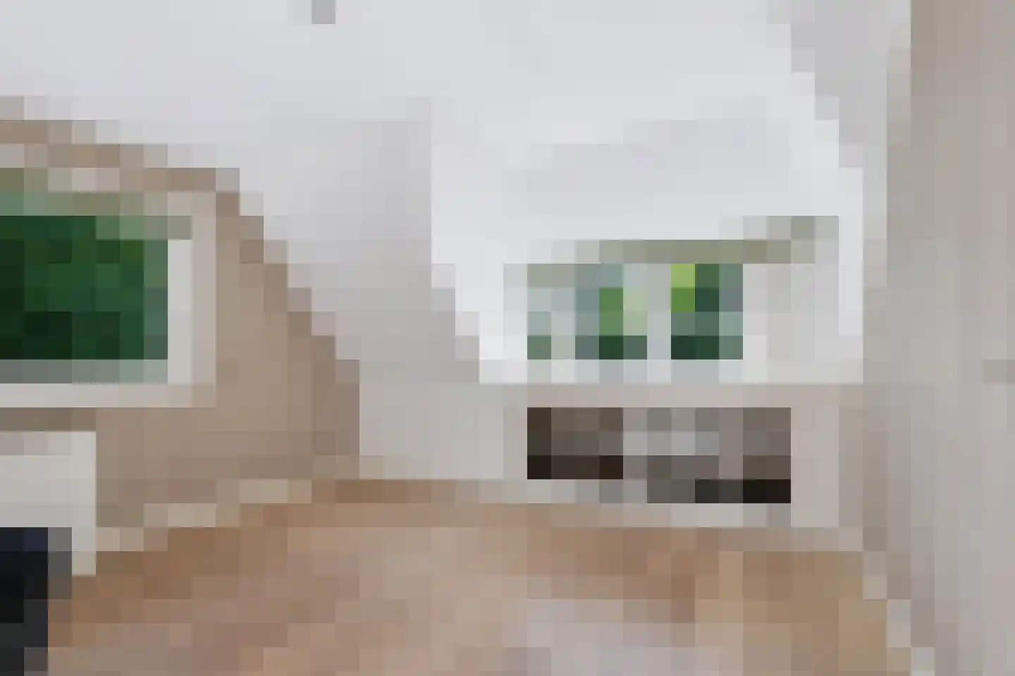 Driekieftenweg 5 Epse thumbnail 35