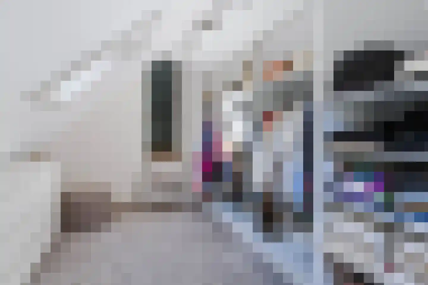 Driekieftenweg 5 Epse thumbnail 38