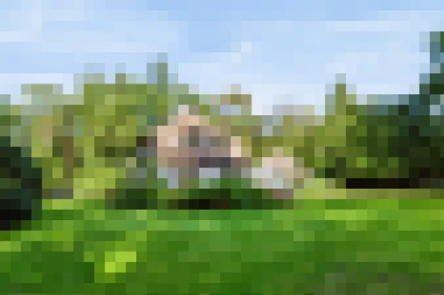Driekieftenweg 5 Epse thumbnail 44
