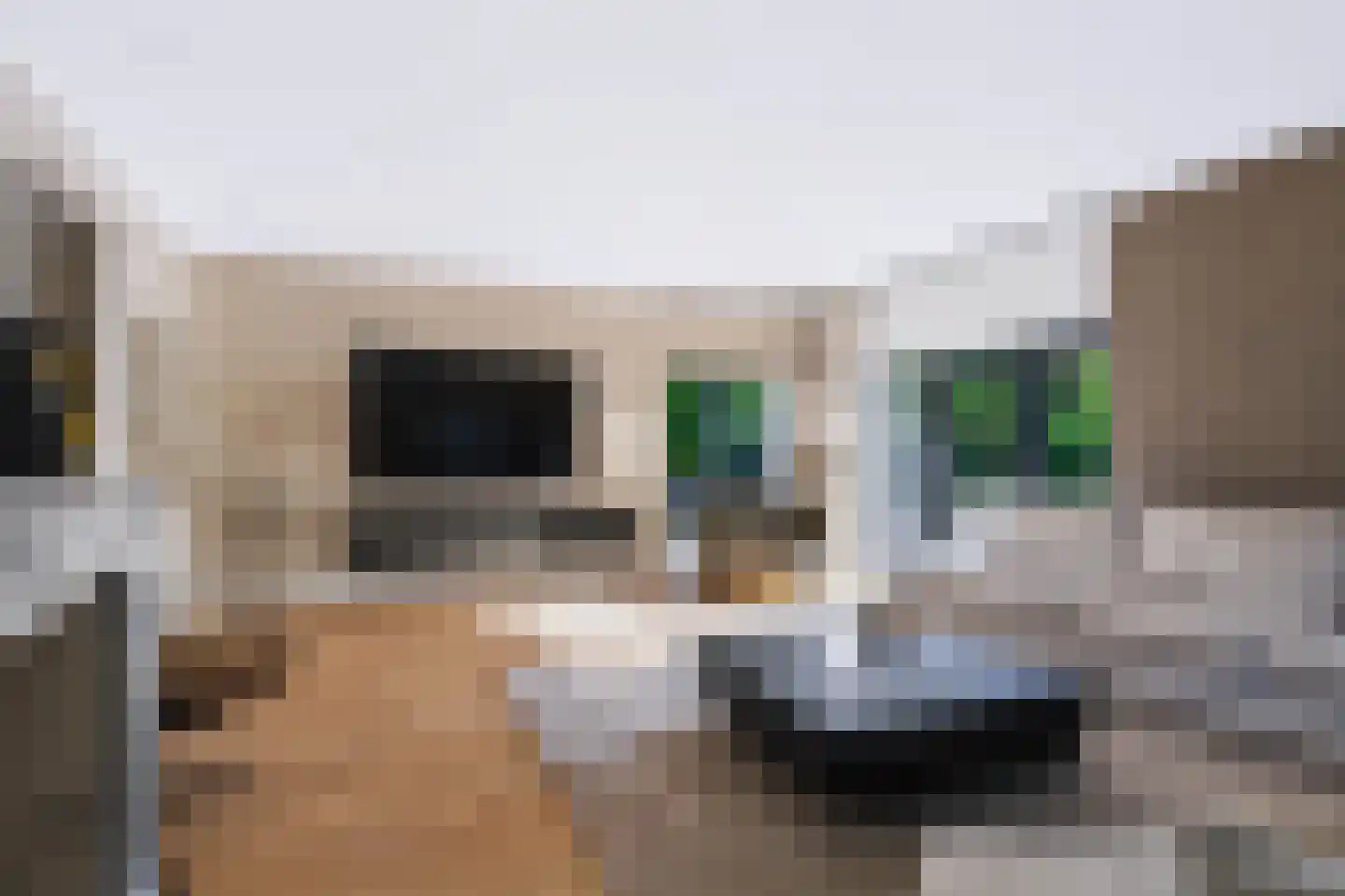 Driekieftenweg 5 Epse thumbnail 5