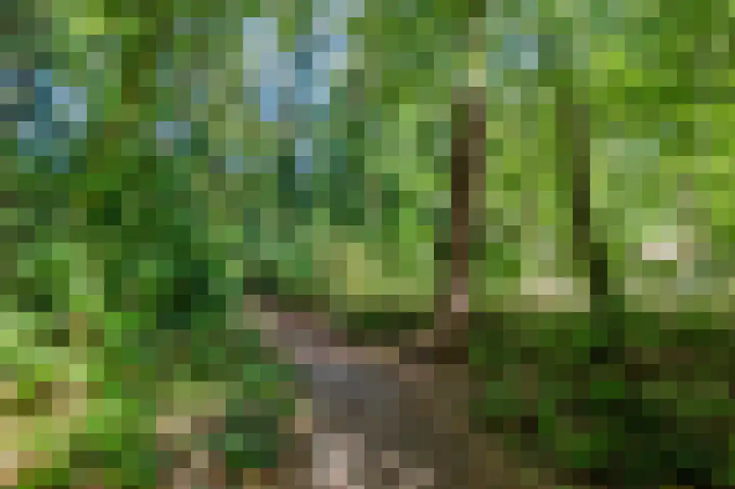 Driekieftenweg 5 Epse thumbnail 59