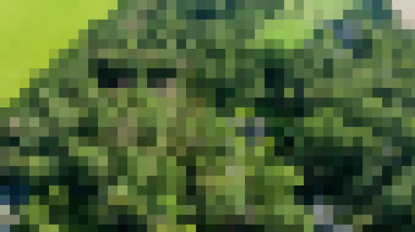 Driekieftenweg 5 Epse thumbnail 61